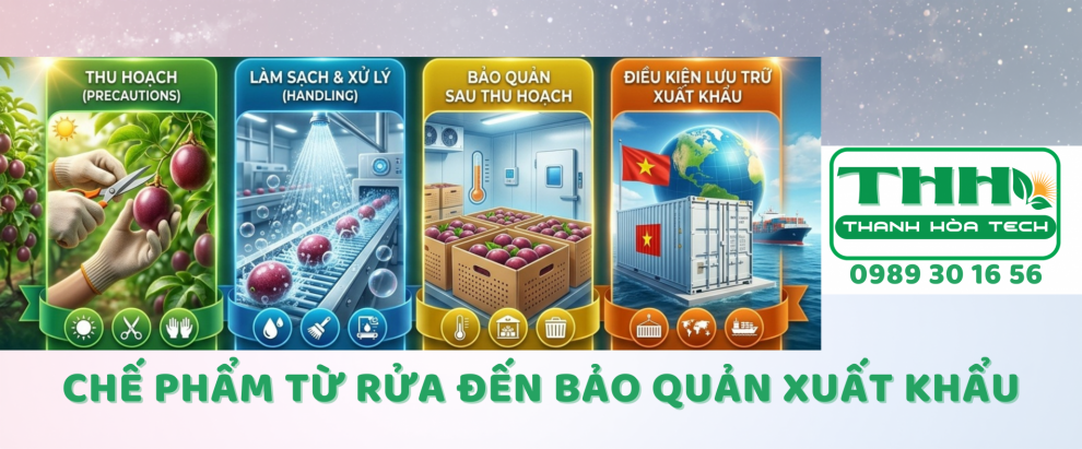 website_banner_2.990